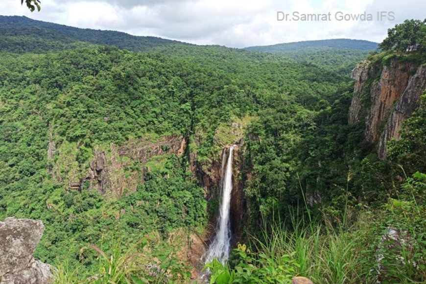 Similipal Closed For Three Months, Eco-Tourism Sites To Remain Open