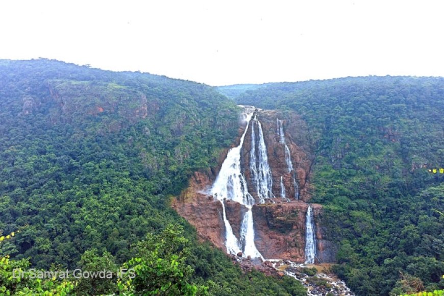 Similipal Closed For Three Months, Eco-Tourism Sites To Remain Open