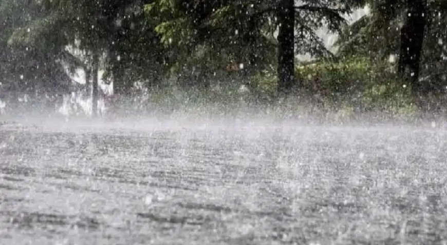 Monsoon To Hit Odisha In Next 48-72 Hrs, Says IMD