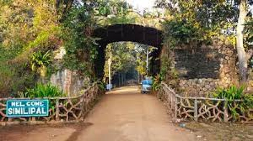 Similipal Closed For Three Months, Eco-Tourism Projects To Remain Open