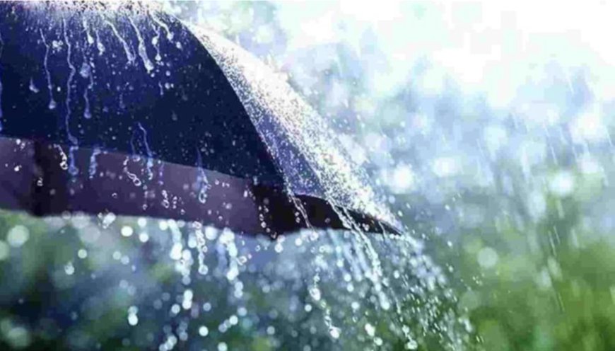 Heavy Rainfall Likely Over Odisha Till Sept 15