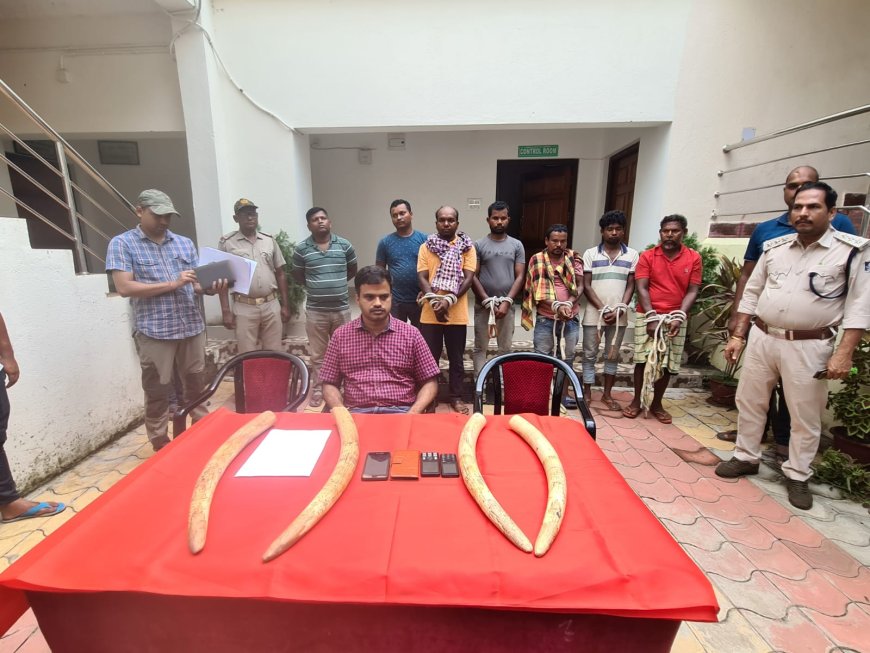 Similipal Tiger Reserve Officials Seize Four Tusks, Nab Five Accused Near Jashipur