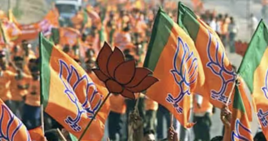 BJP To Give Sitting Rajya Sabha MPs Ticket To Contest General Election