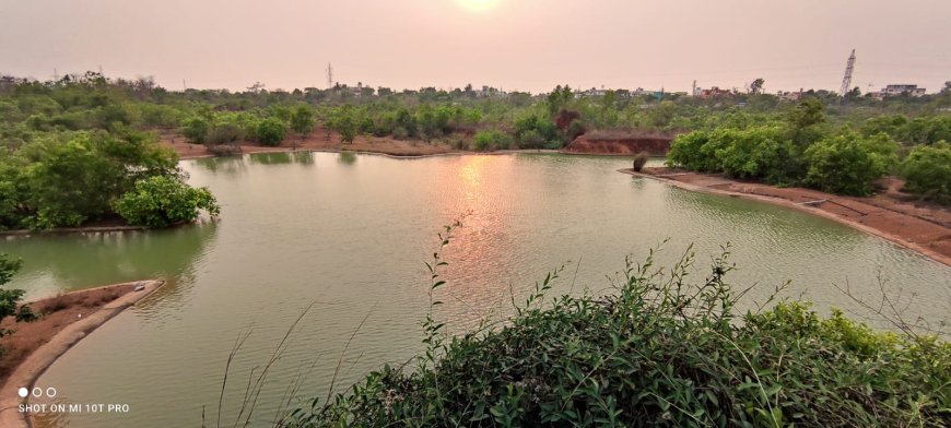 'ଆମ ପୋଖରୀ' ଶୁଭାରମ୍ଭ କଲେ ମୁଖ୍ୟମନ୍ତ୍ରୀ, ପୌରାଞ୍ଚଳର ୨,୦୦୦ଟି ବୃହତ ଜଳାଶୟର ନବୀକରଣ କରାଯିବ