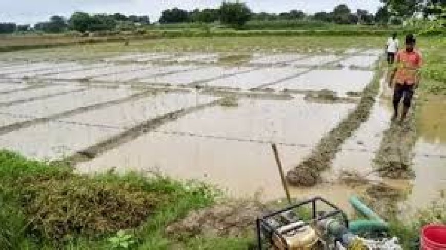 Fasal Bima Yojana: Farmers’ Share for Fresh Insurance Cycle to be Borne by State Govt