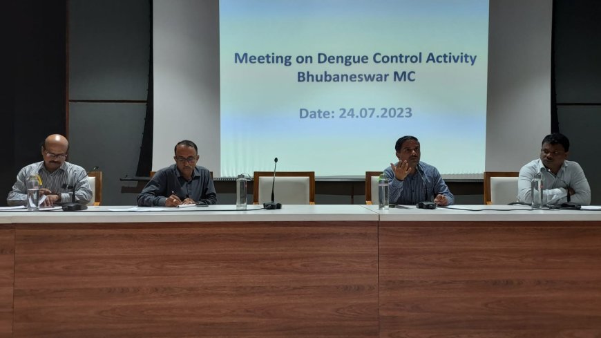 Dengue Awareness: BMC Move to Launch Extensive Door-to-Door Campaign