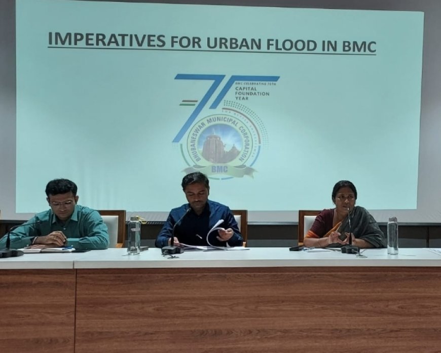 Fortifying Response and Disaster Mitigation: BMC Strateziges Long-term Measures