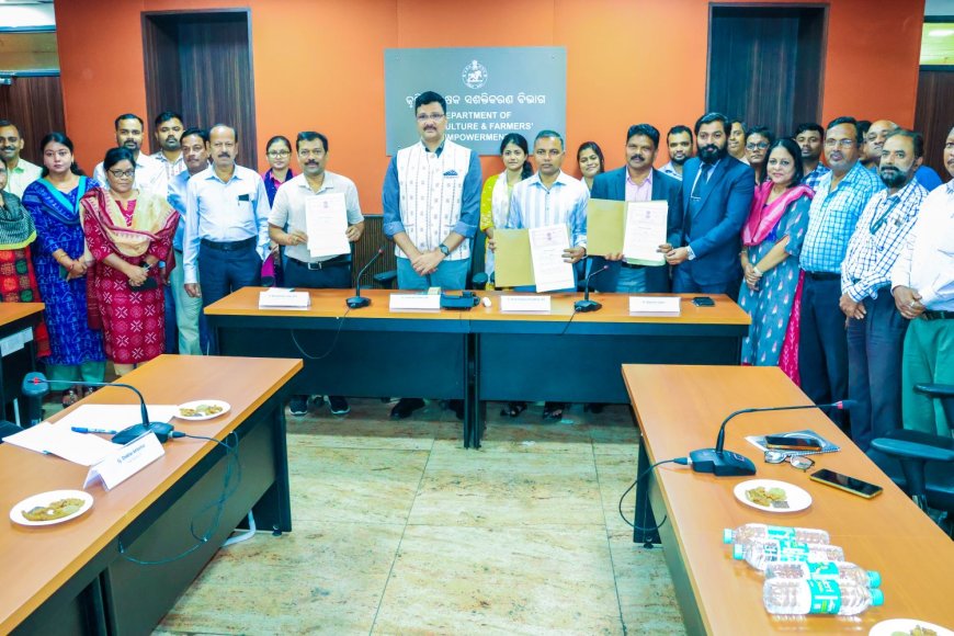 Millet Promotion: Tripartite MoA Signed Among Agriculture & Mission Shakti Depts, Indian Institute of Packaging