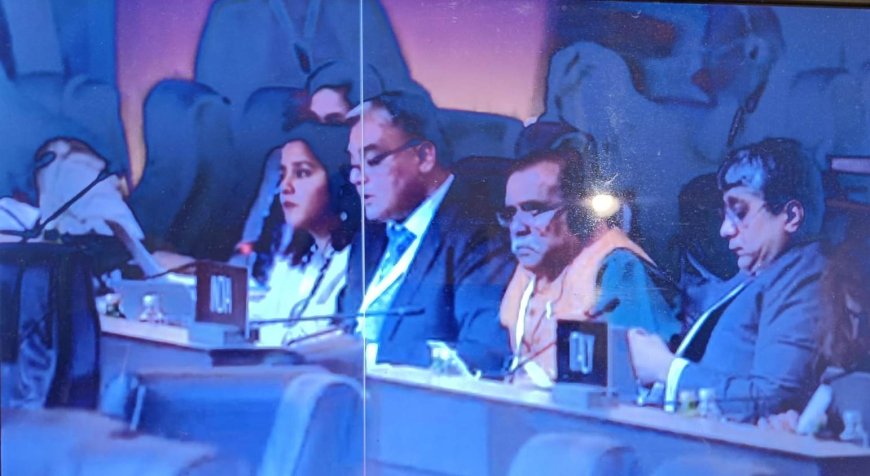 Prof KK Basa Leads Indian Delegation at World Heritage Committee Meeting, Riyadh